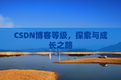 CSDN博客等级，探索与成长之路